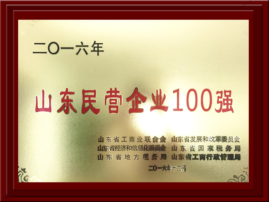 2016.12山東民營企業(yè)100強(qiáng)